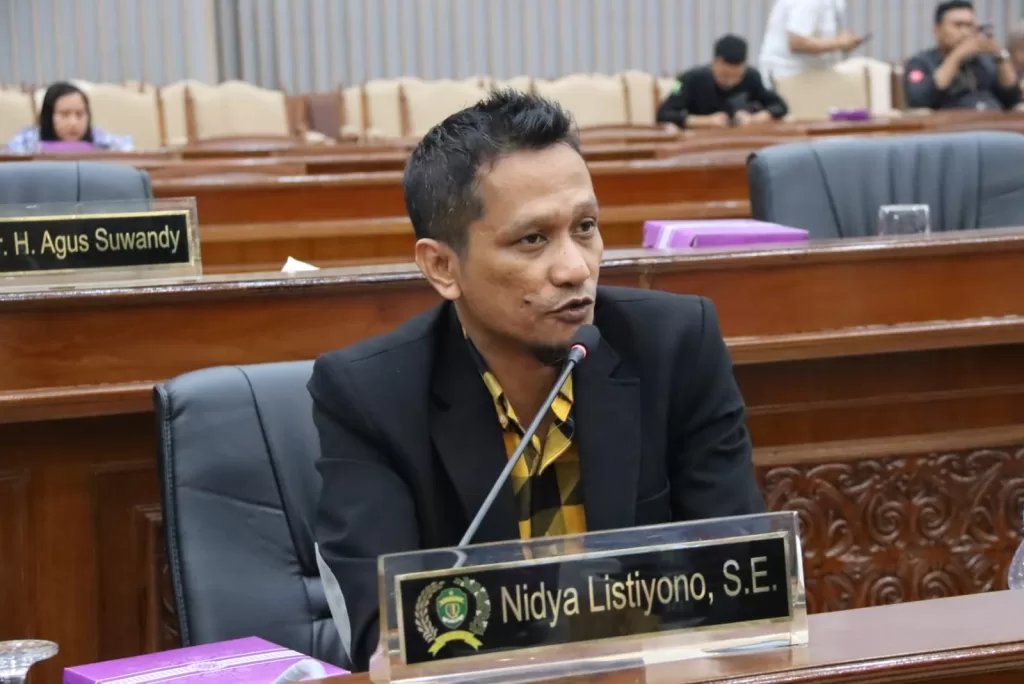 Ketua Pansus Pengelolaan Keuangan Daerah, Nidya Listiyono (Ist)
