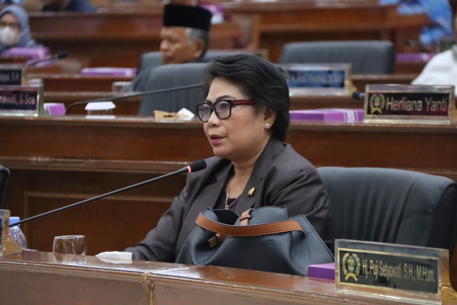 Ketua Pansus Pengutamaan Bahasa Indonesia dan Perlindungan Bahasa dan Sastra Daerah, Veridiana Huraq Wang (Ist)