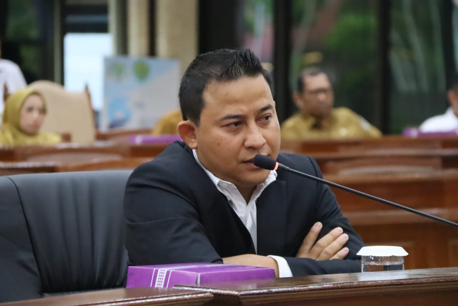 Ketua Pansus PDRD, Sapto Setyo Pramono