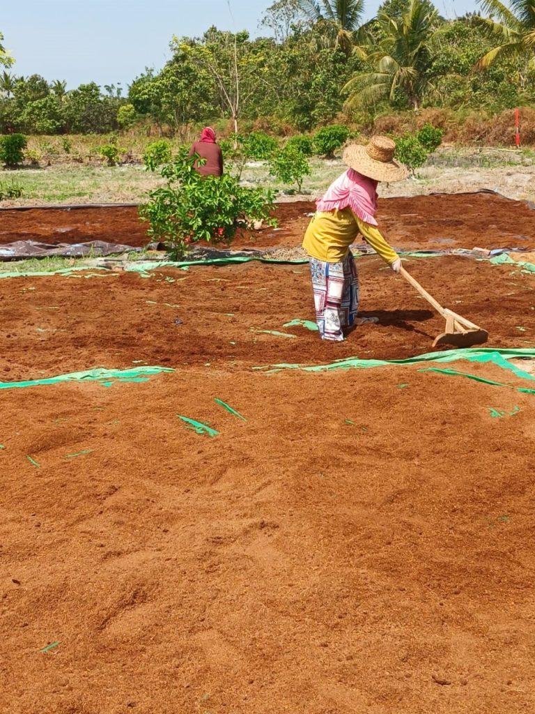 WhatsApp Image 2023 09 18 at 17.36.56