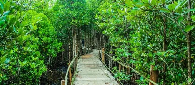 destinasi wisata unggulan kukar