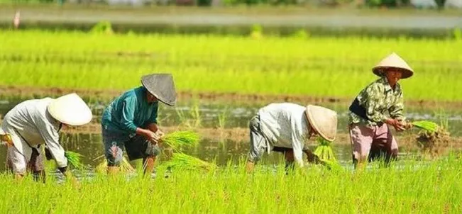 program Makmur Idaman