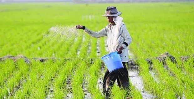 Lumbung Pangan Kaltim