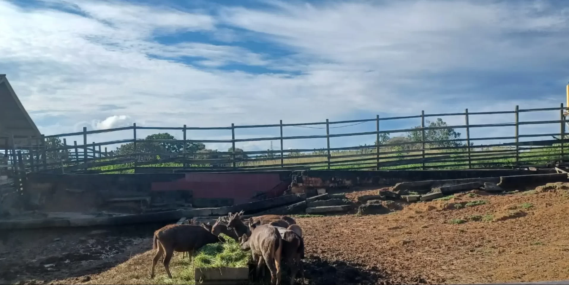 Pariwisata PPU Pariwisata IKN