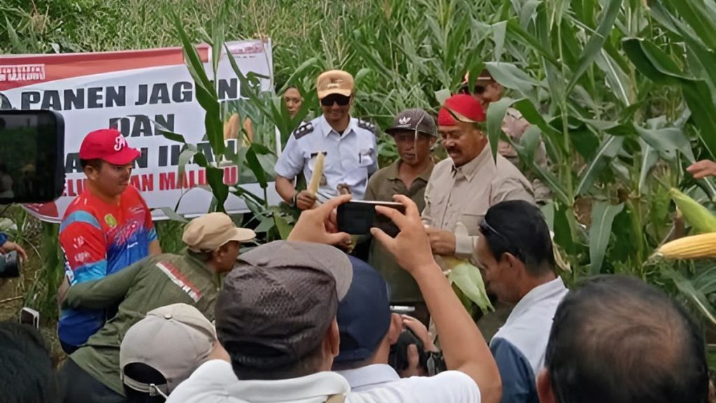 ketahanan pangan Kukar