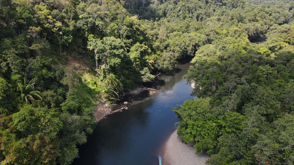 Menapaki Jejak Penolakan Dana Karbon di Tengah Deforestasi Kaltim 1 DJI 0064