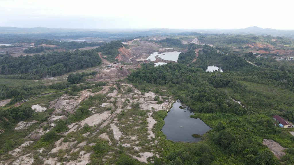 Menapaki Jejak Penolakan Dana Karbon di Tengah Deforestasi Kaltim 2 deforestasi Kalimantan Timur